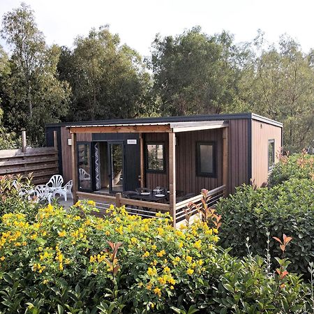 Camping Les Castors 卡尔维 外观 照片